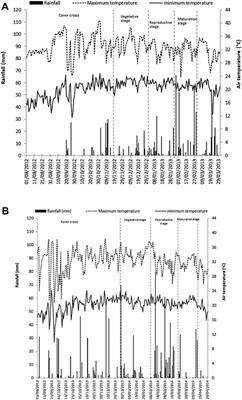 Cover Crops and Mechanical Scarification in the Yield and Industrial Quality of Upland Rice